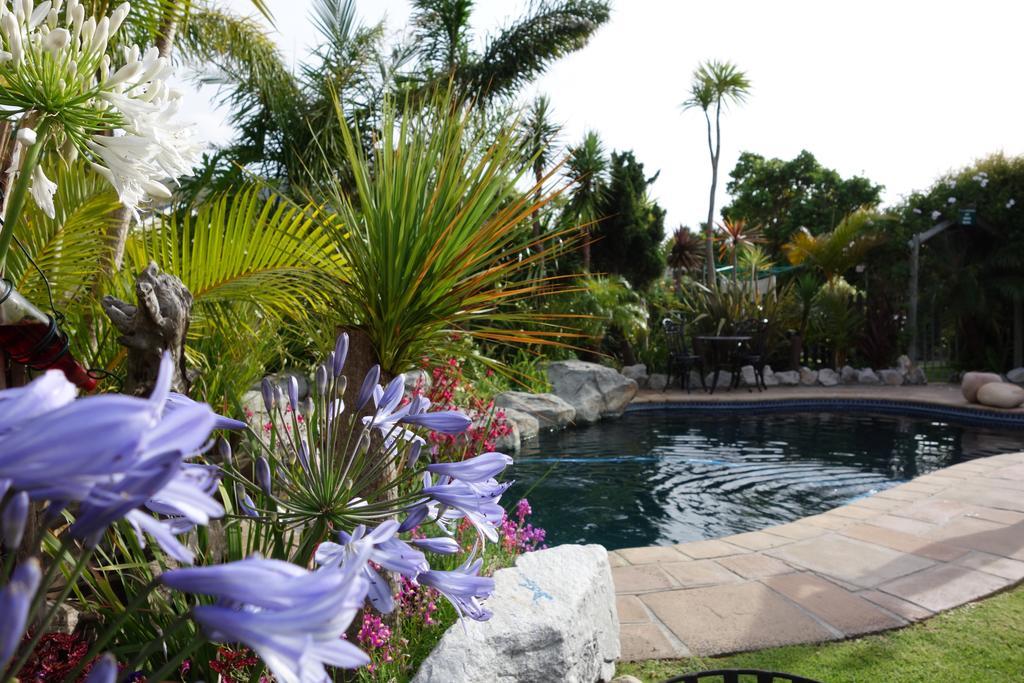Villachad Guesthouse Kleinmond Zewnętrze zdjęcie